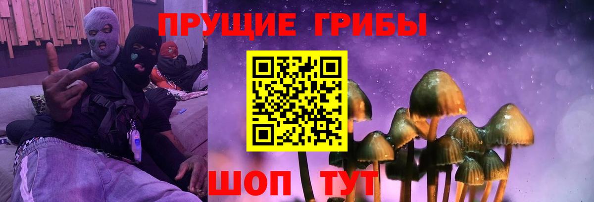 Псилоцибиновые грибы мухоморы  Вход с VPN  Кызыл 